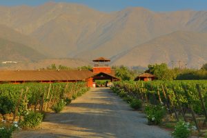 Alto Linderos Wines