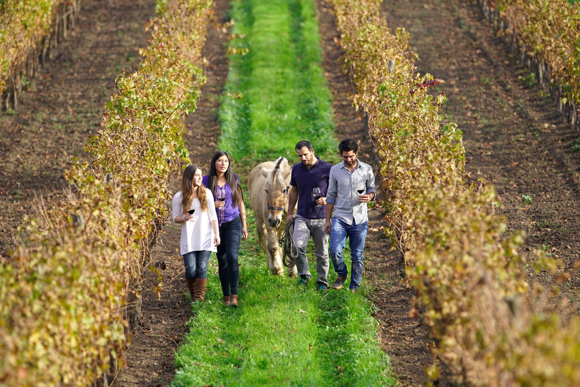 foto-enoturismo-2