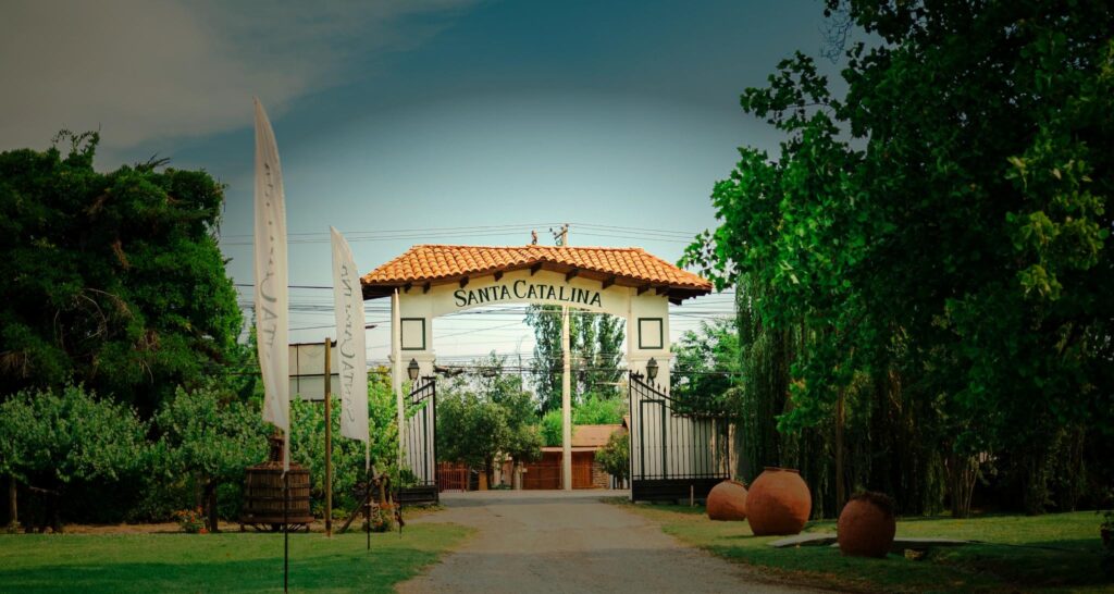 Viña Santa Catalina