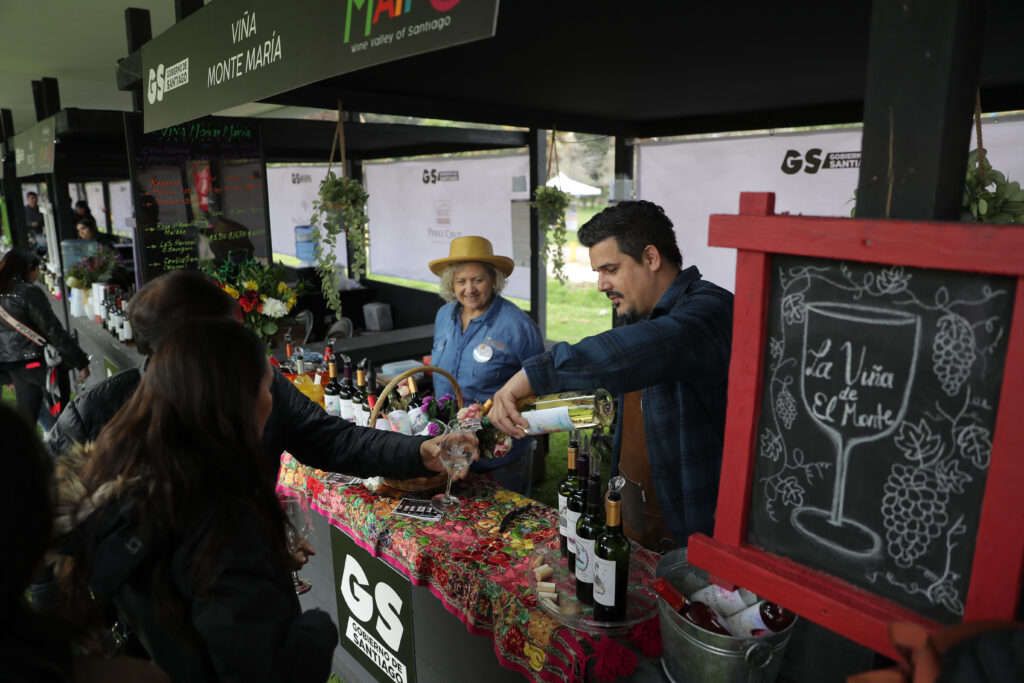 Vendimia Valle del Maipo