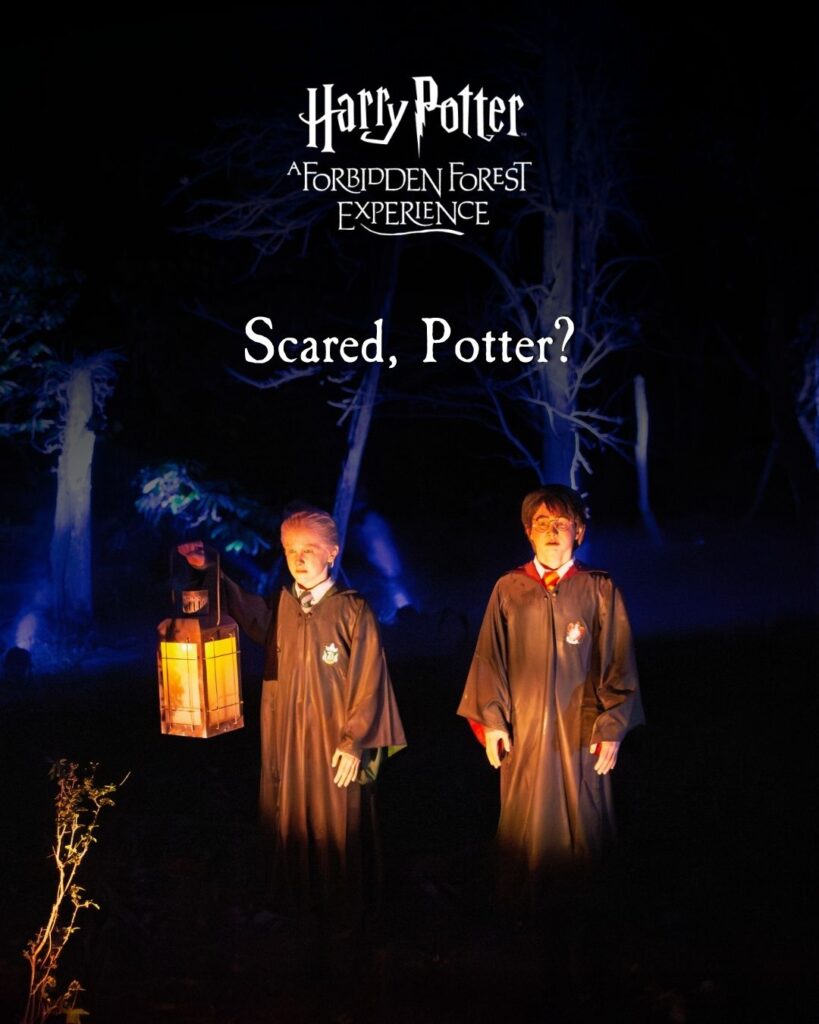 Harry Potter