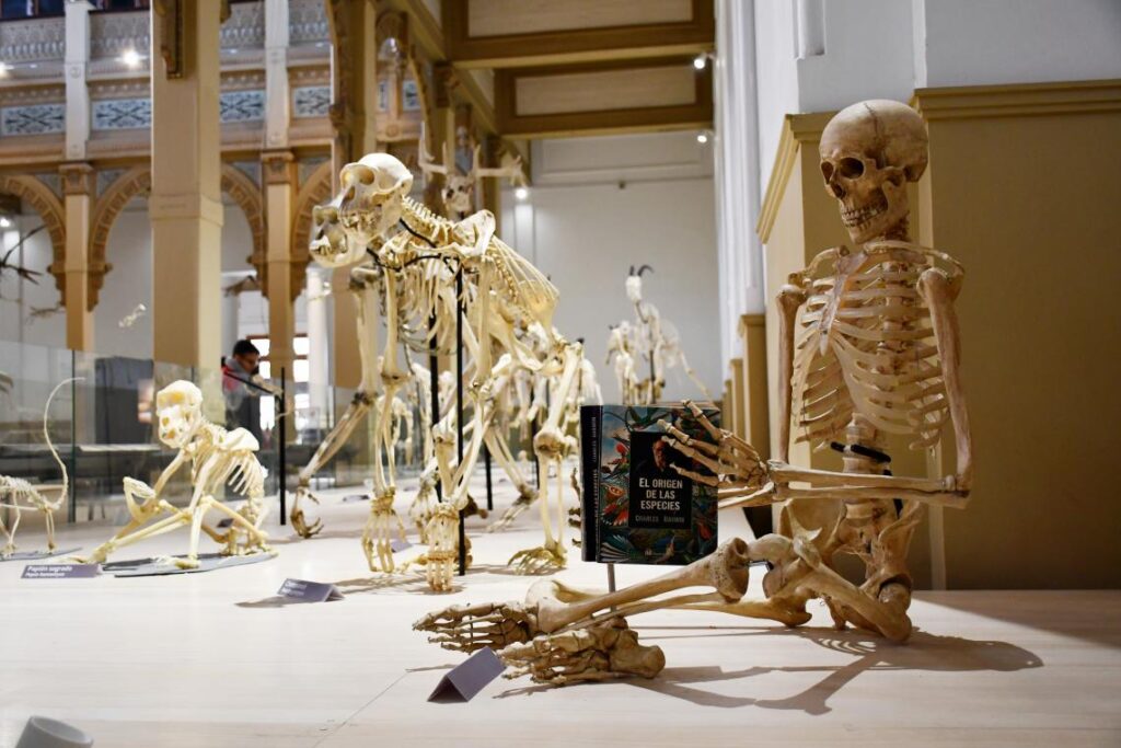 Museo Historia