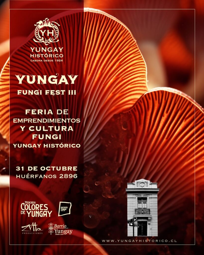 Yungay Fungi Fest III