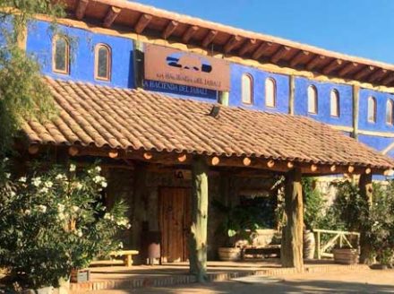 Hacienda-Del-Jabali