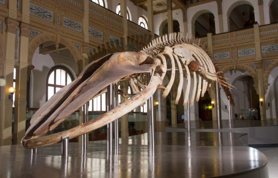 Museo-Nacional-de-Historia-Natural