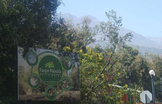 Parque_Mahuida