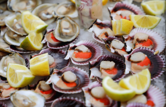 Terminal Pesquero Metropolitano