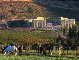 Vina-Haras-Pirque
