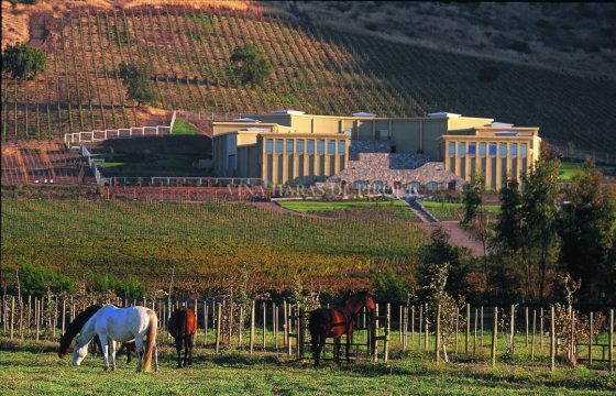Vina-Haras-Pirque