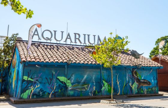 aquarium