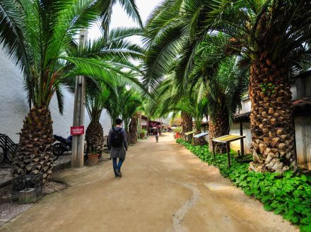 foto-Pueblito-los-Dominicos