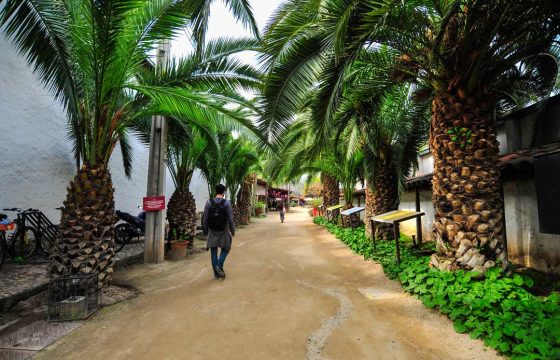 foto-Pueblito-los-Dominicos