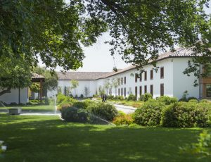 vina_santa_carolina_macul