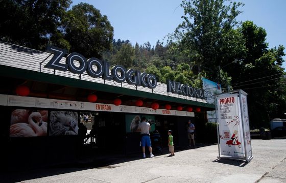 zoo_nacional_chile